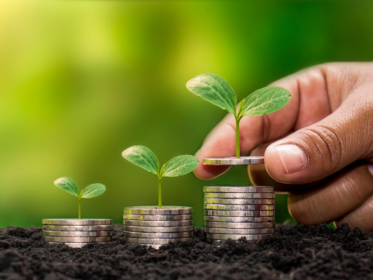 A hand places a coin over a seed sprout and other coins, to indicate seed funding.