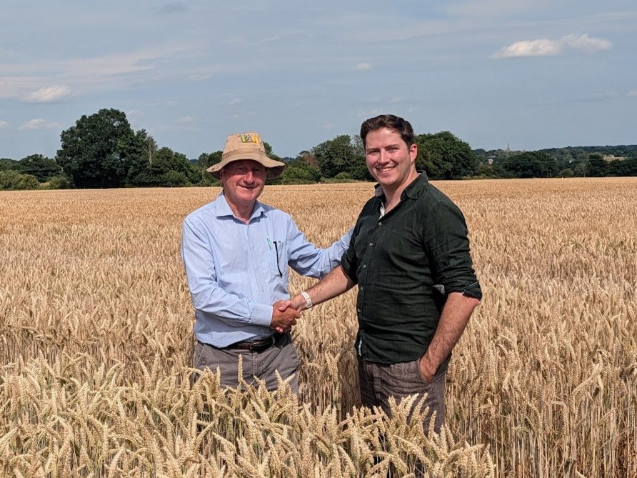 A picture of two men standing in a wheat field shaking hands. One is wearing a black shirt, and the other is wearing a light blue shirt and a sun hat.