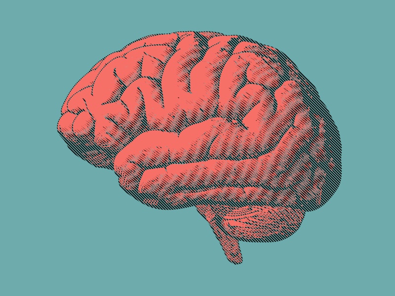 A retro-style illustration of a brain in red against a green background.
