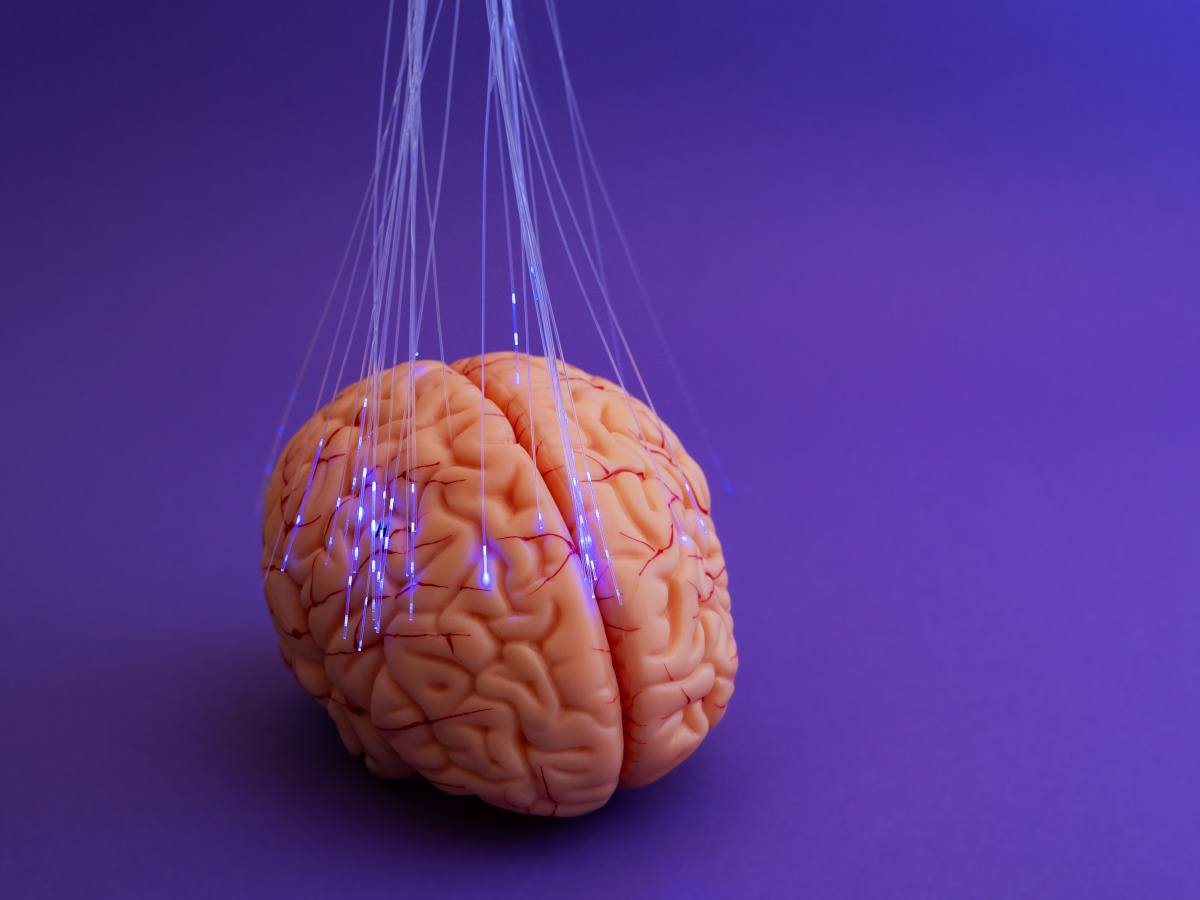 A cartoon brain with purple beams of light showing neuro activity and change.
