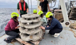 Para ilmuwan bertaruh pada terumbu karang yang dicetak 3D untuk merevitalisasi kehidupan laut